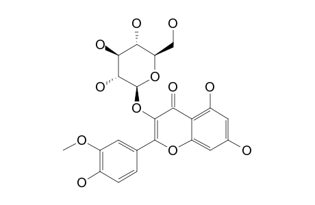 ISORHAMNETIN-3-O-BETA-GALACTOPYRANOSIDE