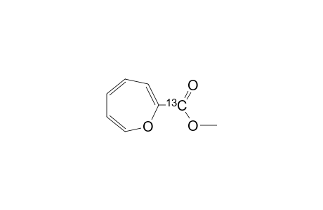 2-CARBOMETHOXYOXEPINE