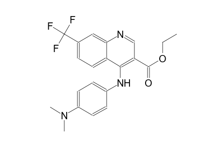 3-quinolinecarboxylic acid, 4-[[4-(dimethylamino)phenyl]amino]-7-(trifluoromethyl)-, ethyl ester