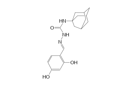 2,4-dihydroxybenzaldehyde N-(1-adamantyl)semicarbazone