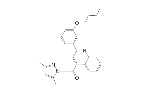 2-(3-butoxyphenyl)-4-[(3,5-dimethyl-1H-pyrazol-1-yl)carbonyl]quinoline