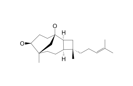 EXCOAGALLOCHAOL-A