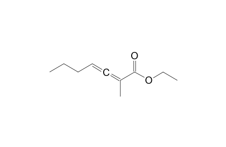 2-Methylhepta-2,3-dienoic acid ethyl ester