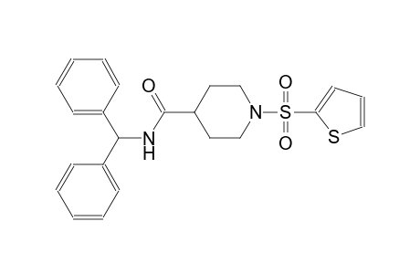 N-benzhydryl-1-(2-thienylsulfonyl)-4-piperidinecarboxamide