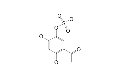 2,4-DIHYDROXYACETOPHENONE-5-O-SULFATE