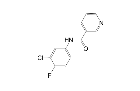 N-(3-chloro-4-fluorophenyl)nicotinamide