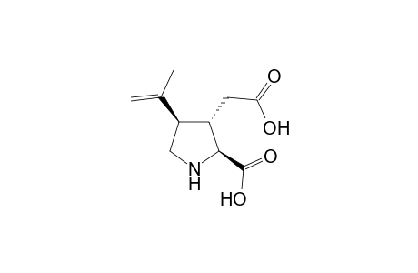 (2S,3S,4R)-3-(carboxymethyl)-4-(1-methylethenyl)-2-pyrrolidinecarboxylic acid