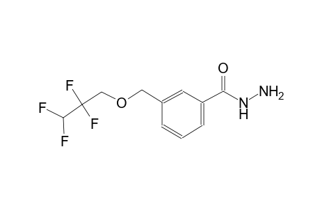 3-[(2,2,3,3-tetrafluoropropoxy)methyl]benzohydrazide