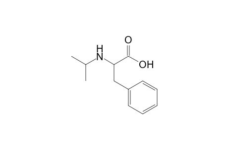 2-(isopropylamino)-3-phenyl-propanoic acid