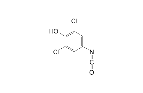 3,5-Dichloro-4-hydroxy-phenylisocyanate