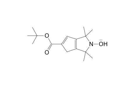 5-Carbo-tert-butoxy-1,1,3,3-tetramethyl-1,3,4-trihydro-2H-cyclopenta[c]pyrrol-2-yloxyl radical