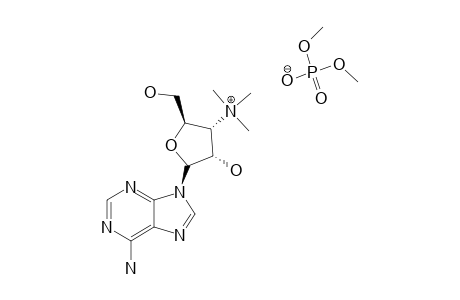 3'-TRIMETHYLAMMONIUM-3'-DESOXYADENOSINE-DIMETHYLPHOSPHATE