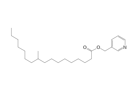 .beta.-picolinyl 10-methylheptadecanoate