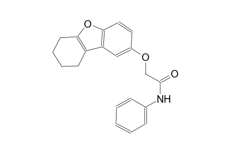 acetamide, N-phenyl-2-[(6,7,8,9-tetrahydrodibenzo[b,d]furan-2-yl)oxy]-