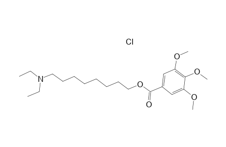 8-(Diethylamino)octyl-3,4,5-trimethoxybenzoate hydrochloride