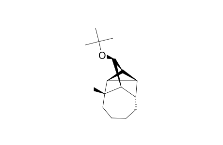 SYN-5-TERT.-BUTOXY-1-METHYLTETRACYCLO-[5.4.0.0-(2,4).0-(3,7)]-UNDECANE