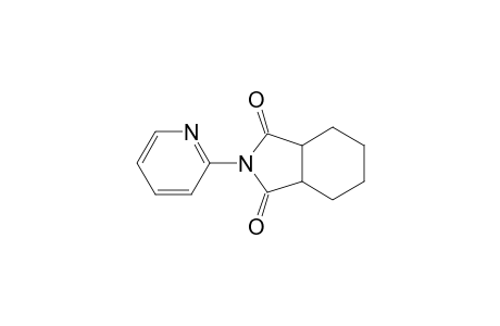 N-(Pyridin-2-yl)-1,2,3,4,5,6-hexahydro-phthalimide