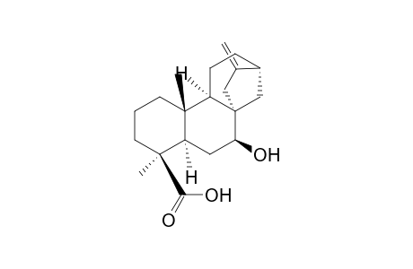 1H-2,10a-Ethanophenanthrene, kaur-16-en-18-oic acid deriv.