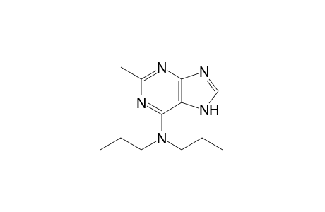 N,N-dipropyl-2-methyladenine