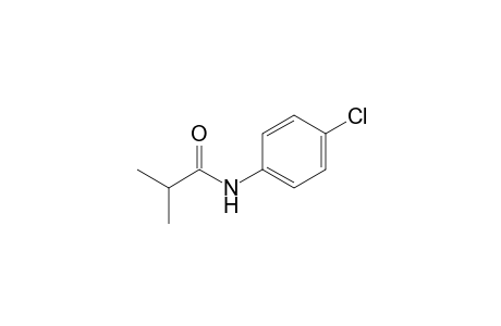N-(4-Chlorophenyl)-2-methylpropanamide