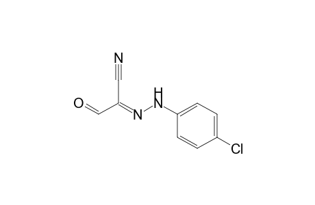 2-[(4'-Chlorophenyl)hydrazono]-3-oxopropionitrile