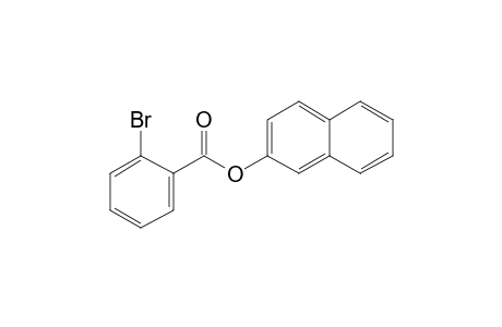 2-Bromobenzoic acid, 2-naphthyl ester