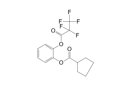 1,2-Benzendiol, o-cyclopentanecarbonyl-o'-pentafluoropropionyl-