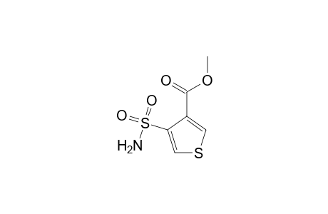 3-Thiophenecarboxylic acid, 4-(aminosulfonyl)-, methyl ester