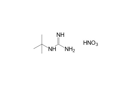 tert-butylguanidine, nitrate