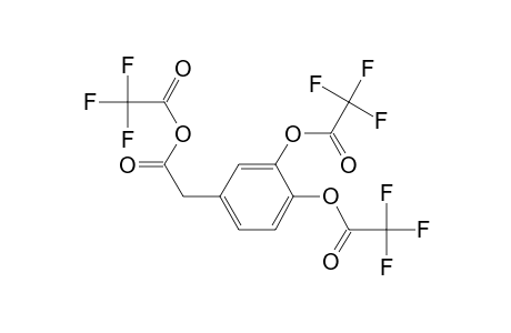 3,4-di(Trifluoroacetyloxy)phenylacetic acid, trifluoroacetic acid anhydride