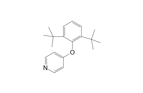 2,6-Di(t-Butyl)-4-pyridiniophenolate