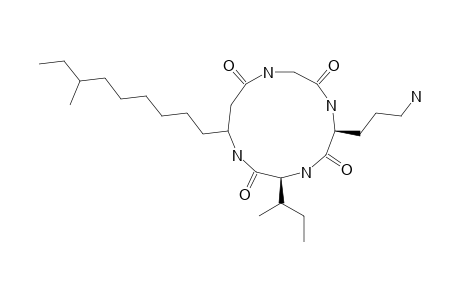 CYCLO-(-GLY-L-ORN-L-ILE-3-AMINO-10-METHYL-DODECANOYL-);RHODOPEPTIN-C2