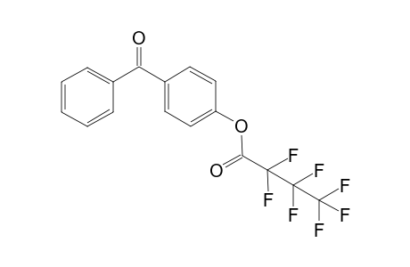 4-Hydroxybenzophenone HFB