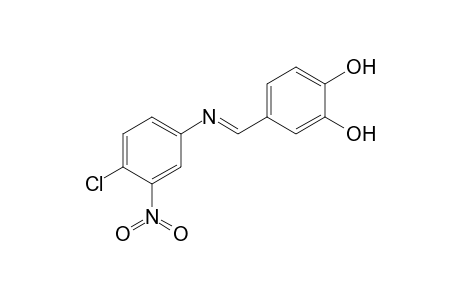 4-[(4-Chloro-3-nitro-phenylimino)-methyl]-benzene-1,2-diol