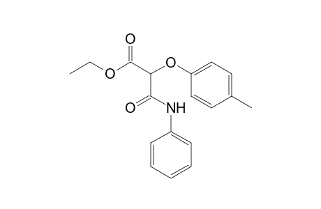 Propanoic acid, 2-(4-methylphenoxy)-3-oxo-3-(phenylamino)-, ethyl ester