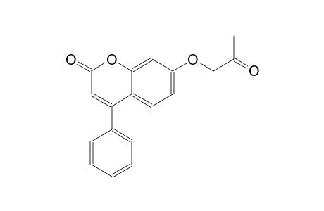 7-(2-oxopropoxy)-4-phenyl-2H-chromen-2-one