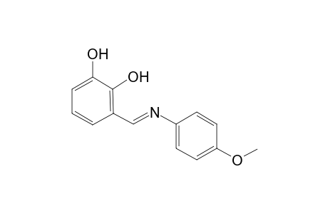 3-[(4-methoxy-phenylimino)-methyl]-benzene-1,2-diol
