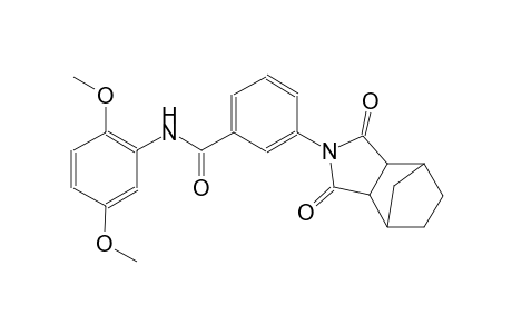 N-(2,5-dimethoxyphenyl)-3-(1,3-dioxohexahydro-1H-4,7-methanoisoindol-2(3H)-yl)benzamide