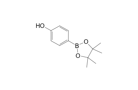 4-(4,4,5,5-Tetramethyl-1,3,2-dioxaborolan-2-yl)phenol