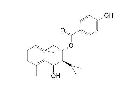 8-[(p-Hydroxybenzoyl)oxy]-tovarol