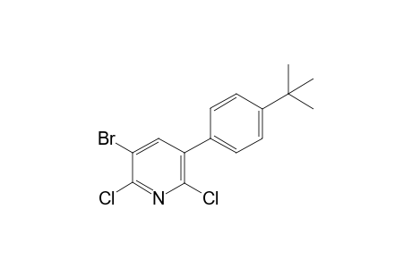 3-Bromo-2,6-dichloro-5-(4-tert-butylphenyl)pyridine