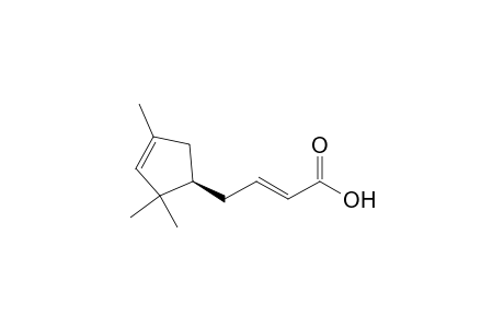 2-Butenoic acid, 4-(2,2,4-trimethyl-3-cyclopenten-1-yl)-, [R-(E)]-