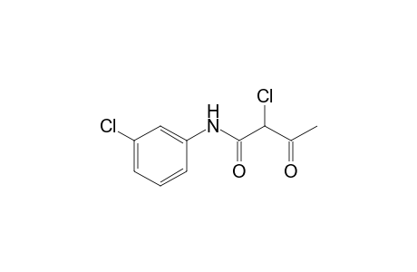 Acetoacetanilide, 2,3'-dichloro-