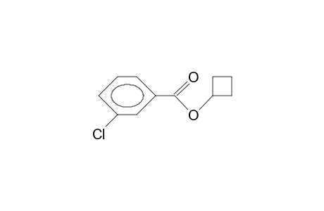 Cyclobutyl 3-chloro-benzoate