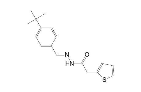 N'-[(E)-(4-tert-butylphenyl)methylidene]-2-(2-thienyl)acetohydrazide