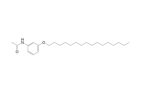3'-(hexadecyloxy)acetanilide
