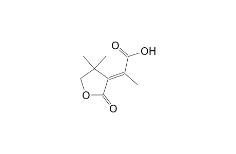 2-(4,4-Dimethyl-2-oxo-dihydrofuran-3-ylidene)propionic acid