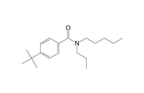 Benzamide, 4-tert-butyl-N-propyl-N-pentyl-