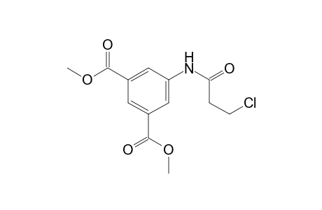 1,3-Benzenedicarboxylic acid, 5-[(3-chloro-1-oxopropyl)amino]-, dimethyl ester
