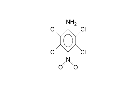 4-Nitro-2,3,5,6-tetrachloro-aniline